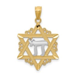 14k Yellow Gold Star of David With Rhodium-Plated  | Jewelry | Judaica