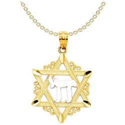 14k Yellow Gold Star of David With Rhodium-Plated  | Jewelry | Judaica