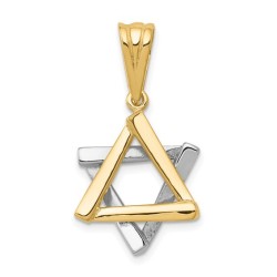 14k Two-Tone Gold Polished Star of David Pendant | Jewelry | Judaica