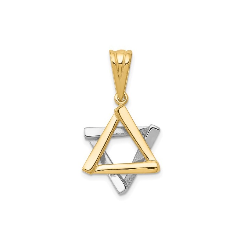 14k Two-Tone Gold Polished Star of David Pendant | Jewelry | Judaica