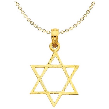 Large 14k Yellow Gold Textured Star of David Penda | Jewelry | Judaica