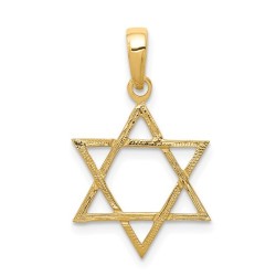 Large 14k Yellow Gold Textured Star of David Penda | Jewelry | Judaica