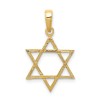 Large 14k Yellow Gold Textured Star of David Penda | Jewelry | Judaica