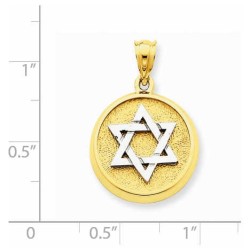 14k Two-Tone Gold Star Of David Disc Pendant | Jewelry | Judaica