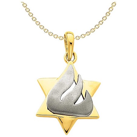 14k Two-Tone Gold Shin Star of David Pendant | Jewelry | Judaica