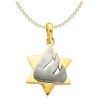14k Two-Tone Gold Shin Star of David Pendant | Jewelry | Judaica