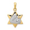 14k Two-Tone Gold Shin Star of David Pendant | Jewelry | Judaica