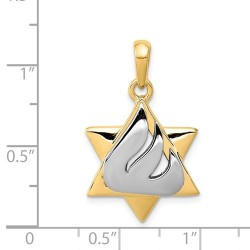 14k Two-Tone Gold Shin Star of David Pendant | Jewelry | Judaica