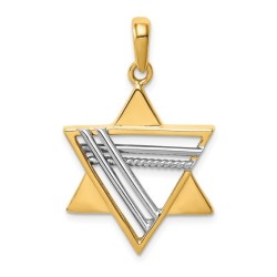14k Two-Tone Gold Deluxe Star of David Pendant | Jewelry | Judaica
