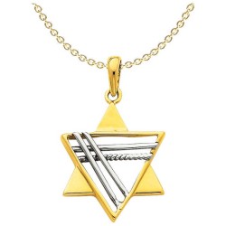 14k Two-Tone Gold Deluxe Star of David Pendant | Jewelry | Judaica
