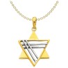 14k Two-Tone Gold Deluxe Star of David Pendant | Jewelry | Judaica