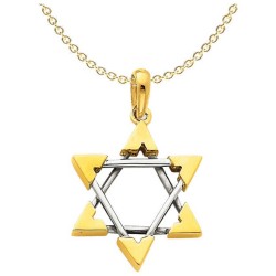 14k Two-Tone Gold Unique Star of David Pendant | Jewelry | Judaica
