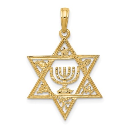 14k Yellow Gold Star of David Menorah Pendant With | Jewelry | Judaica