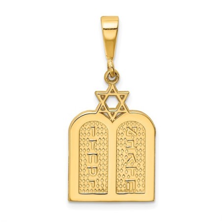 14k Yellow Gold Polished Torah with Star of David  | Jewelry | Judaica