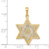 14k Two-Tone Gold Mesh Star of David Pendant II | Jewelry | Judaica