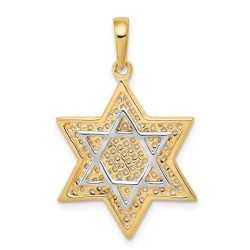 14k Two-Tone Gold Mesh Star of David Pendant II | Jewelry | Judaica