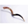 Lion of Judah Painted Yemenite Shofar - 40" | Rosh Hashanah | Judaica