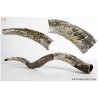 Menorah and Leaves Silver Yemenite Shofar | Rosh Hashanah | Judaica
