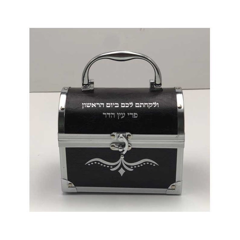 Hard Treasure Chest Etrog Box | Sukkot | Judaica