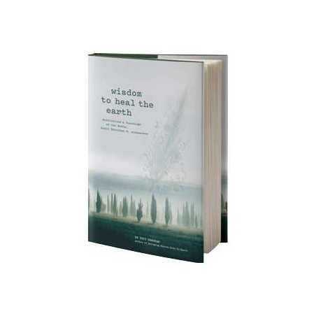 Wisdom to Heal the Earth | Books | Judaica