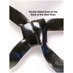 Tefillin with Ashkenaz/Arizal Script | Tefillin & Accessories | Judaic