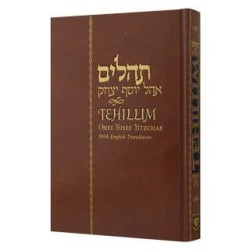 English Tehillim Ohel Yosef Yitzchak - 5�� x 8�� | Books | Judaica