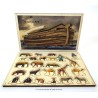 Touchwood Design Noah's Ark Facts & Figurines | All Judaica | Judaica