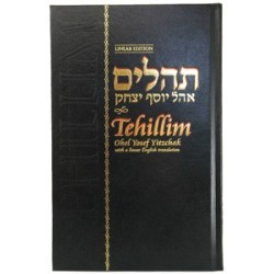 Tehillim Ohel YY with English 5�� x 8�� | Books | Judaica