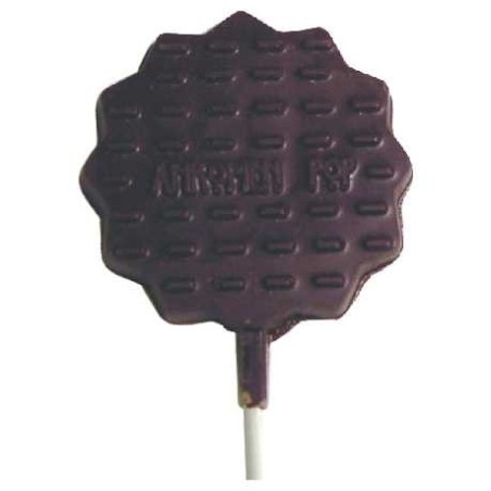 Kosher for Passover Afikomen Chocolate Pop | Passover | Judaica
