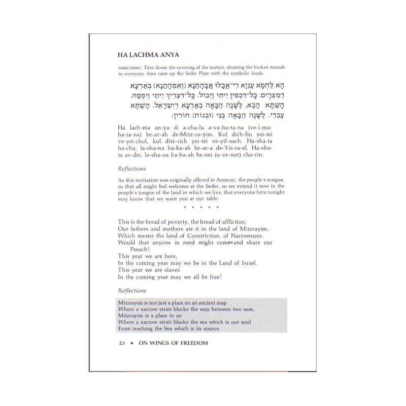 On Wings of Freedom: The Hillel Haggadah | Passover | Judaica