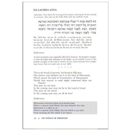 On Wings of Freedom: The Hillel Haggadah | Passover | Judaica
