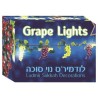Grape Lights Sukkah Decoration | Sukkot | Judaica