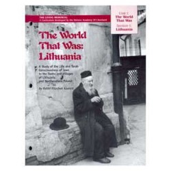 The World That Was: Lithuania - Paperback | Books | Judaica
