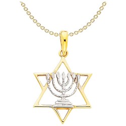14k Yellow Gold Star Of David Pendant With Rhodium | Jewelry | Judaica