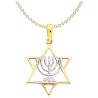14k Yellow Gold Star Of David Pendant With Rhodium | Jewelry | Judaica