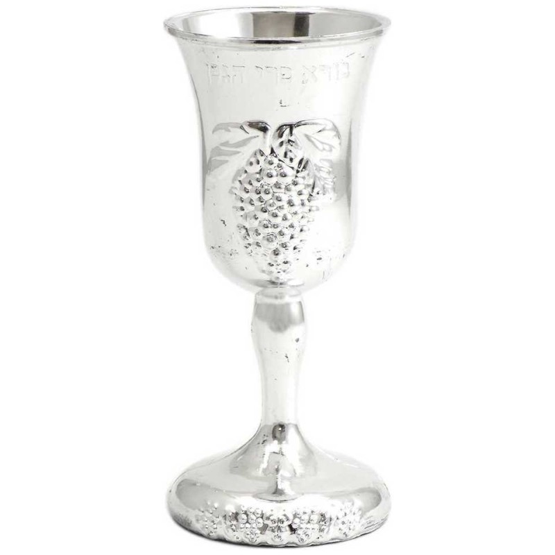 Children Plastic Kiddush Cup | Passover | Judaica