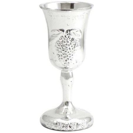 Children Plastic Kiddush Cup | Passover | Judaica