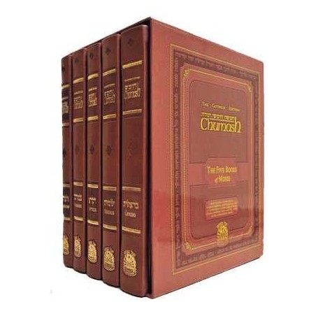 The Gutnick Edition Chumash: Full Size Set | Books | Judaica