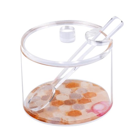 Lucite Honey Dish with Painted Base | Rosh Hashanah | Judaica