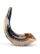 Ram's Horn Shofar | Rosh Hashanah | Judaica