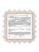 Amethyst Ketubah | All Judaica | Judaica
