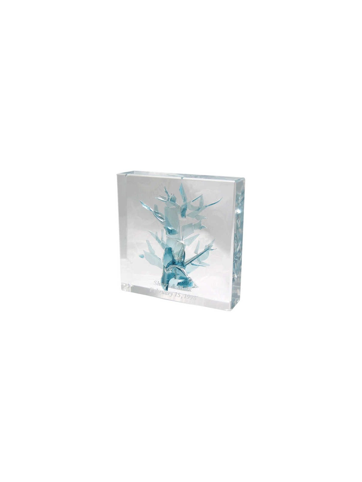 Tree of Life Wedding Glass Keepsake | Wedding | Judaica