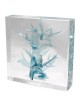 Tree of Life Wedding Glass Keepsake | Wedding | Judaica