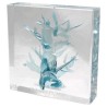 Tree of Life Wedding Glass Keepsake | Wedding | Judaica