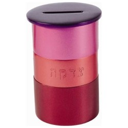 Boîte Tzedakah en aluminium anodisé rose