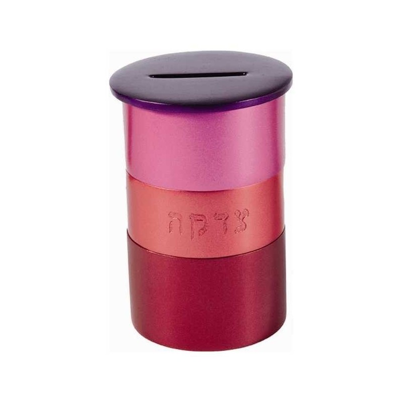 Pink Anodized Aluminum Tzedakah Box | Tzedakah Boxes | Judaica