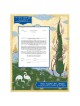 Beloveds Ketubah | All Judaica | Judaica