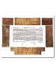 Illustrated Ketubah - Copper By Gad Almaliah | All Judaica | Judaica