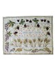 7 Species Challah Cover | Challah Covers | Judaica