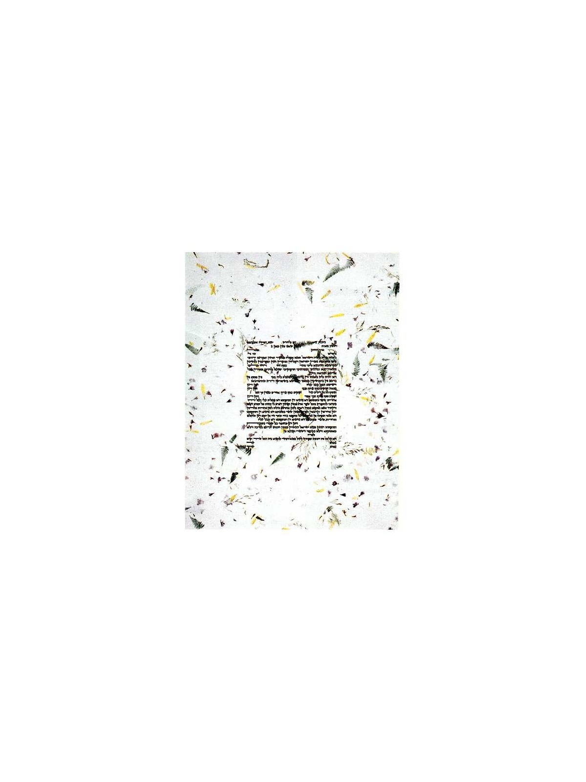 Eco Ketubah - 13 x 20 | All Judaica | Judaica